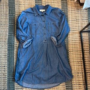 Madewell Blue Long Sleeve Denim Dress